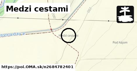 Medzi cestami