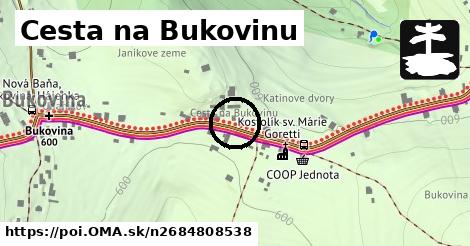 Cesta na Bukovinu