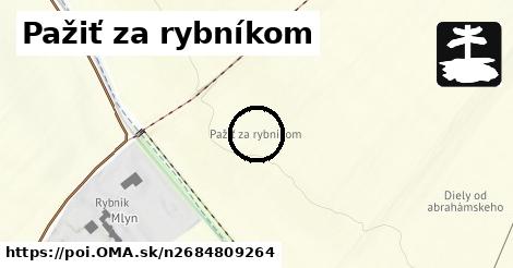 Pažiť za rybníkom