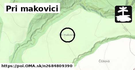 Pri makovici