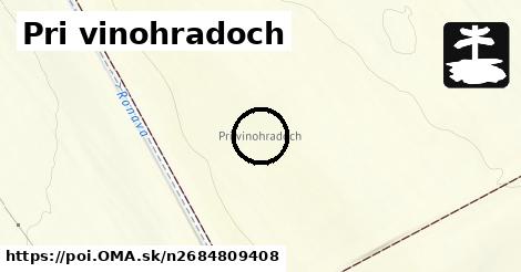 Pri vinohradoch