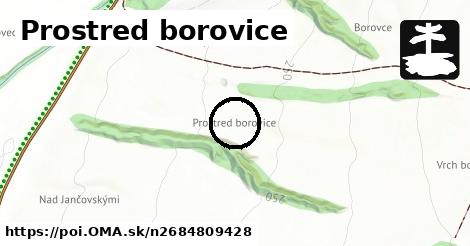 Prostred borovice