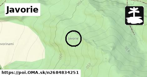 Javorie