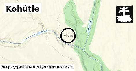 Kohútie