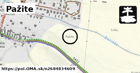 Pažite