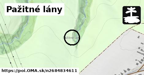 Pažitné lány