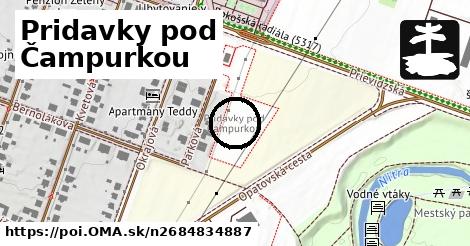 Pridavky pod Čampurkou