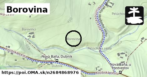 Borovina