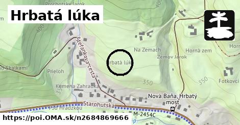 Hrbatá lúka