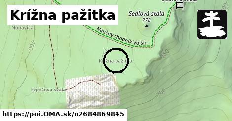 Krížna pažitka