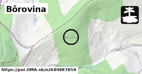 Bôrovina