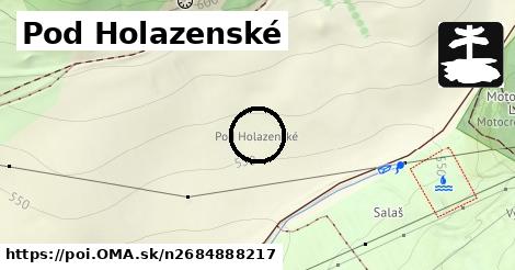 Pod Holazenské