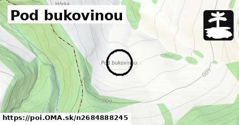 Pod bukovinou