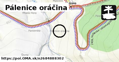 Pálenice oráčina