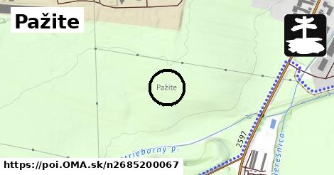 Pažite