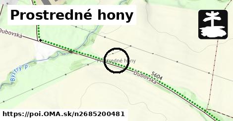 Prostredné hony