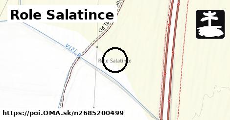 Role Salatince