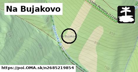 Na Bujakovo