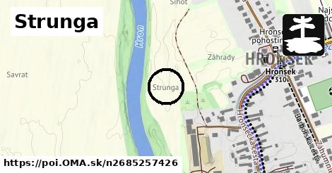 Strunga