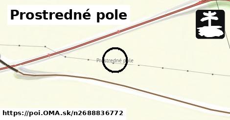 Prostredné pole