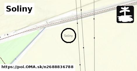 Soliny