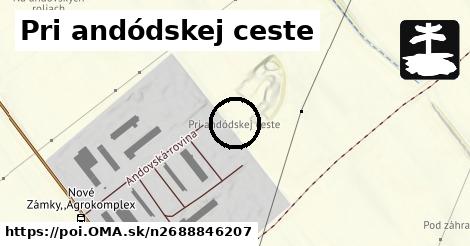 Pri andódskej ceste