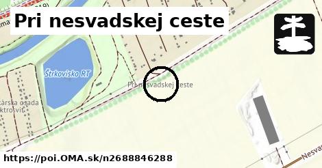 Pri nesvadskej ceste