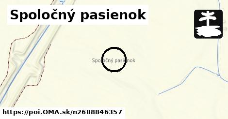 Spoločný pasienok