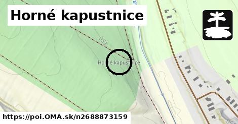 Horné kapustnice