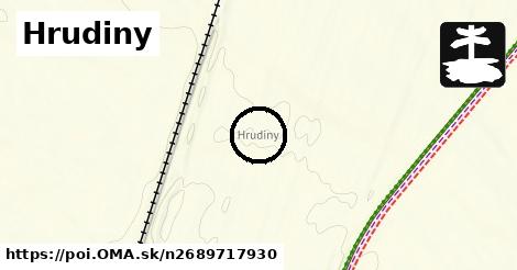 Hrudiny