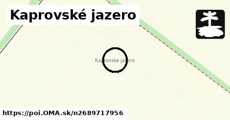 Kaprovské jazero