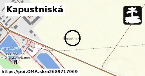 Kapustniská