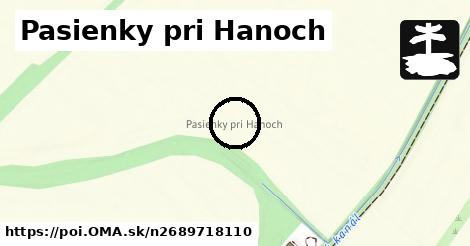 Pasienky pri Hanoch