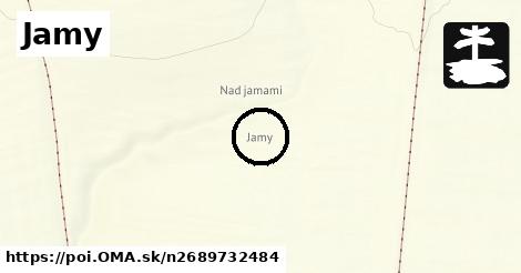Jamy