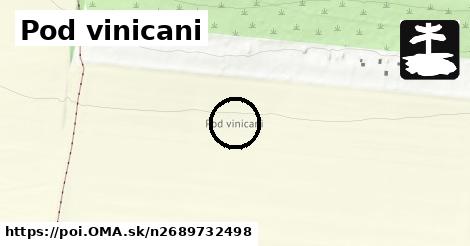 Pod vinicani