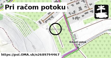 Pri račom potoku