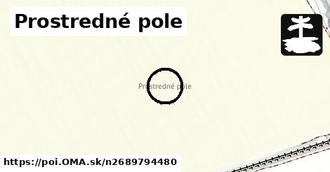 Prostredné pole