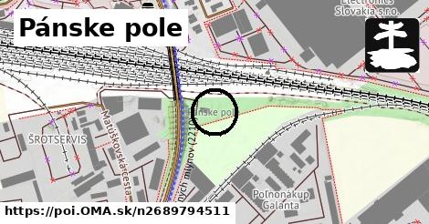 Pánske pole