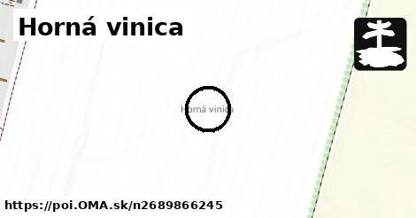 Horná vinica