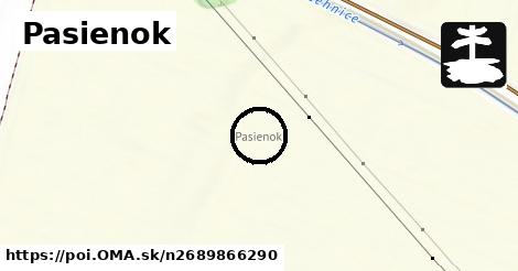 Pasienok