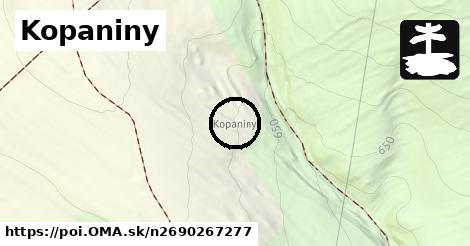 Kopaniny