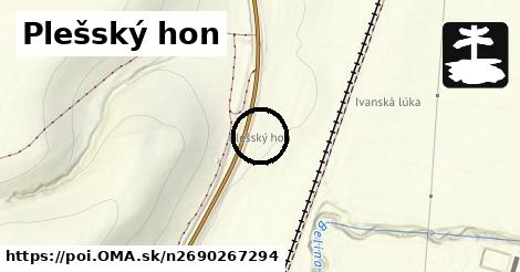 Plešský hon