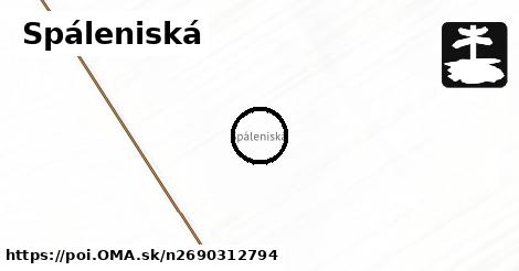 Spáleniská