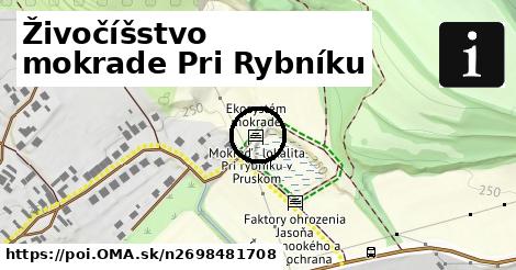 Živočíšstvo mokrade Pri Rybníku