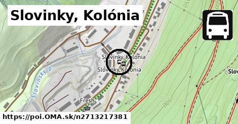 Slovinky, Kolónia