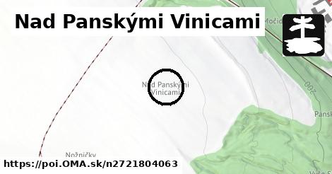 Nad Panskými Vinicami