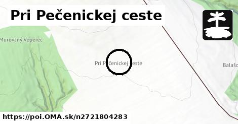 Pri Pečenickej ceste