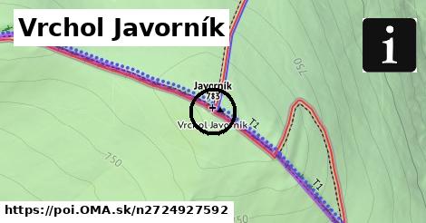 Vrchol Javorník