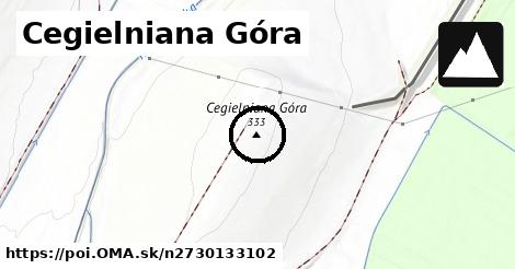 Cegielniana Góra