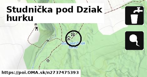 Studnička pod Dziak hurku